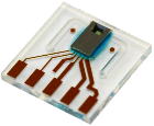 LPG10-1000