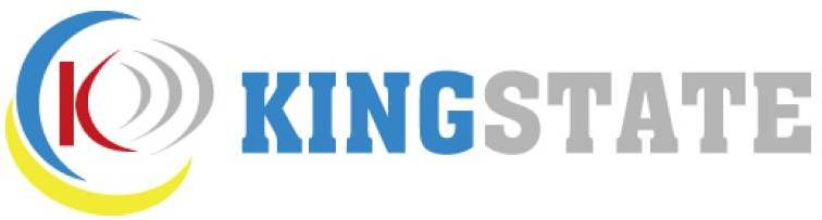 Продукция фирмы Kingstate