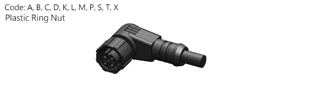 C12N-P206RN