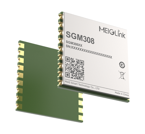 SGM308