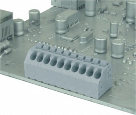 HCxx00800000G