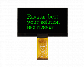 REX012864KGPP3N00000