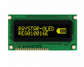 REG010016EYPP5N00100