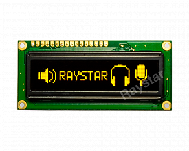REG010016AYPP5N00100