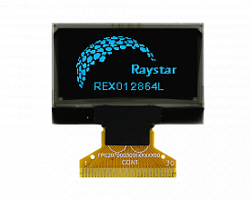 REX012864LSAP3N00000