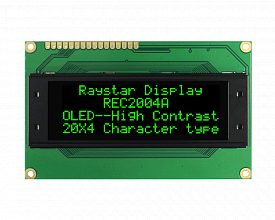 REC002004AGPP5N00100