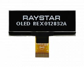 REX012832AWPP3N00000