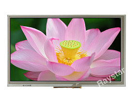 RFF800P-1IW-DBS