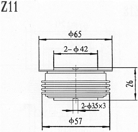 ZP1000
