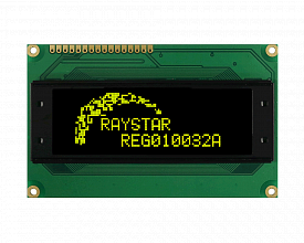 REG010032AYPP5N00100