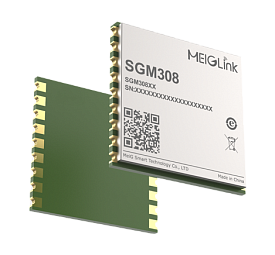 SGM308