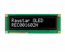 REC001602HWPP5N00100