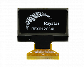 REX012864LWAP3N00000