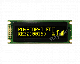 REG010016DYPP5N00100