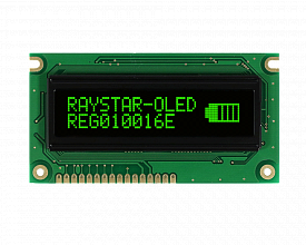 REG010016EGPP5N00100