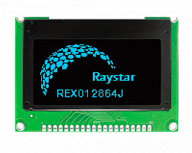 REX012864JSPP3N00000