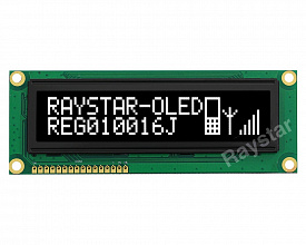 REG010016JWPP5N00100