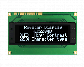 REC002004BWPP5N00100