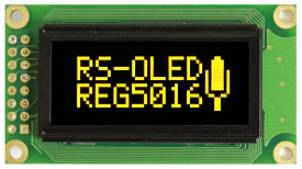 REG005016AYPP5N00100