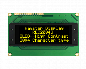 REC002004BYPP5N00100