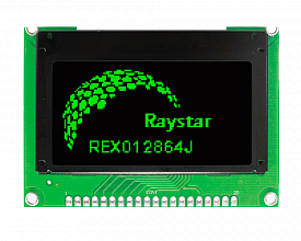 REX012864JGPP3N00000