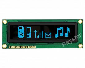 REG010016JBPP5N00100